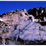 Carvings of deer and other animals in western Tibet