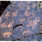 Archers hunting yaks and other wild herbivores, western Tibet