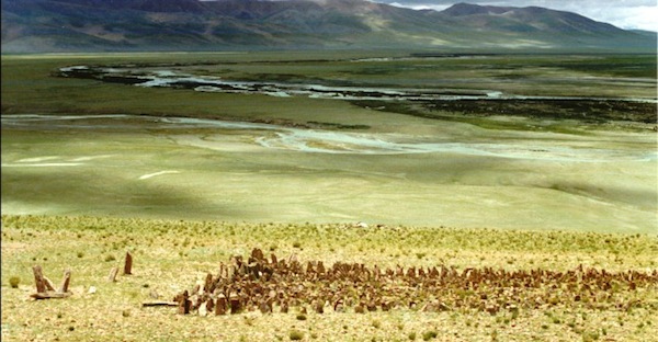 Fig. 1: A partial view of the concourse of stones at a site in the central Changthang. It is situated on a wide bench above a major river valley.