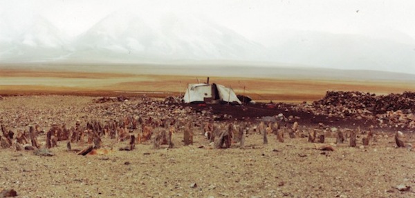 Fig. 10: The pillars of a necropolis named ‘Red House’ located in the western Changthang. 