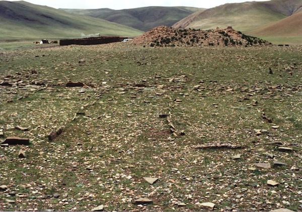 Fig. 5: On the other end of the spectrum is a gigantic example named ‘Ruins of Onager Grass Confluence’. 