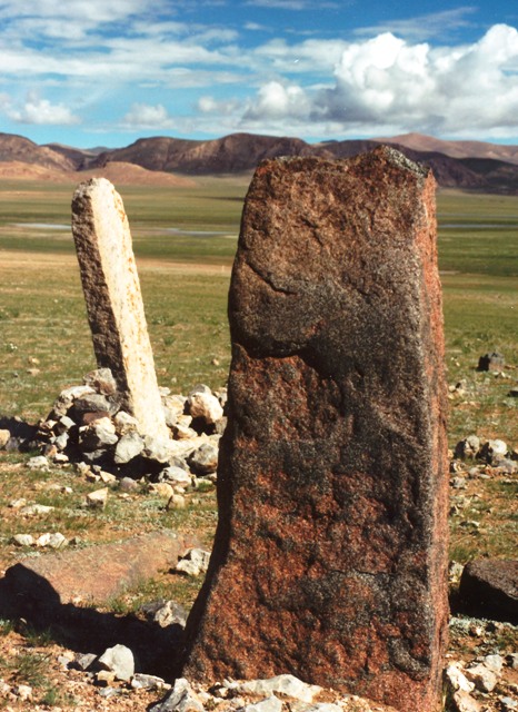 Fig. 12. Two fairly large and well-formed menhirs (1.5 m and 1.3 m in height) erected inside a spacious enclosure (11 m x 19 m)