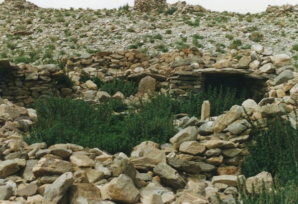 Fig. 16. A partial view of the largest building on the big black headland. Note the in situ corbels and sheathing. 