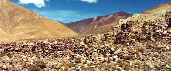 Fig. 4. A partial view of a village at Lake Dangra thought to have been abandoned centuries ago