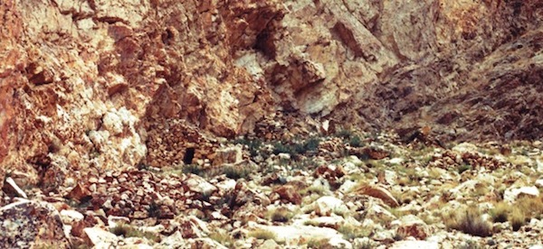 Fig. 5. A view of the few ruined structures at what was once an extensive residential hub at Lake Dangra