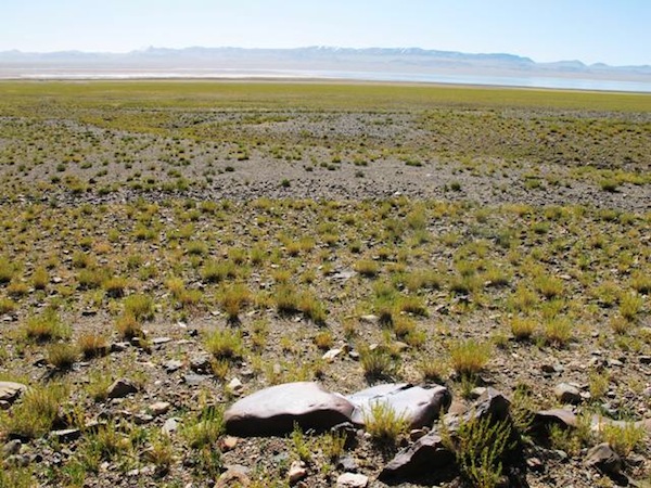 Fig. 3. The chariot of the central Changthang was carved on the saddle-shaped boulder in the foreground. The carving is located on the side of this rock facing the large lake basin. This is a curious location, not typical of the rock art site in general but one that may have had a deliberate purpose. Perhaps actual chariots once raced across this basin. It is certainly level and unobstructed enough to have hosted wheeled vehicles. If so, this petroglyphic chariot may have heralded their arrival in an act of tribute, remembrance or ritual celebration. 