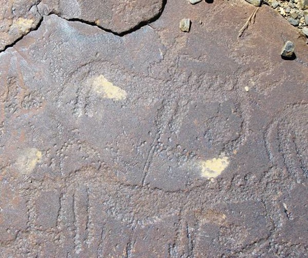 Fig. 3. Two equids (probably horses) on the same boulder as the mascoids shown above. 