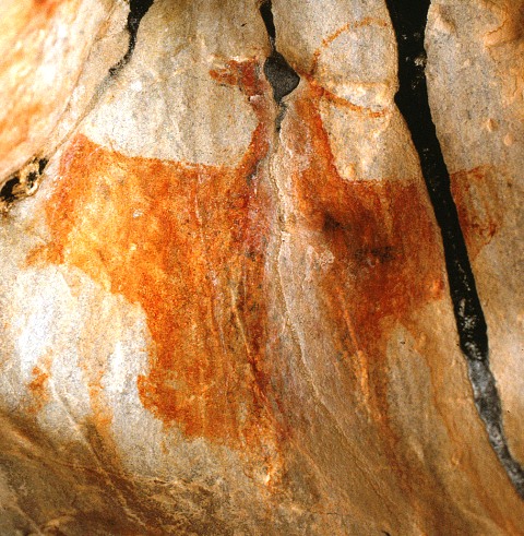 Fig. 10. Eastern Changthang. This red ochre khyung was depicted with a massive body and wings. Its horns however were drawn as thin lines. This pictograph, given the character of others found in close proximity, can be dated either to the early historic period or vestigial period (1000–1300 CE).   