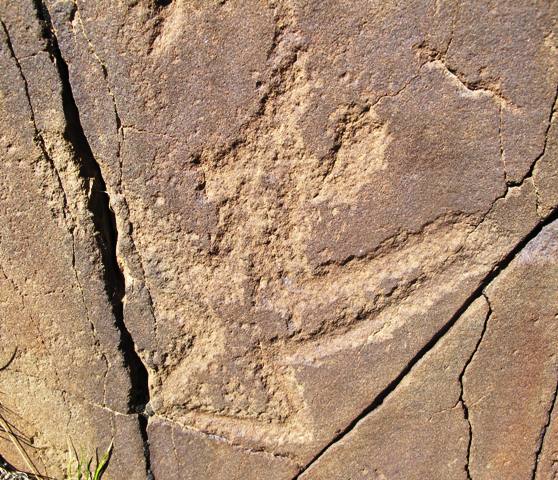 Fig. 3.  Far western Tibet. The beak of this bird is blunted but its horns are very clearly depicted. Its long pointed wings and triangular tail recall khyung thokchas. This specimen dates either to the Iron Age or protohistoric period.  