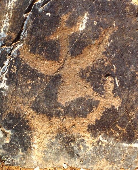 Fig. 4. Central Changthang. This khyung is very similar in style to fig. 3, except that its beak is more pointed. It hovers above a wild ungulate. Perhaps these two animals are emblematic of the dichotomous universe, a key cosmological concept in Tibetan archaic traditions. This horned raptor is best dated to the protohistoric period.  