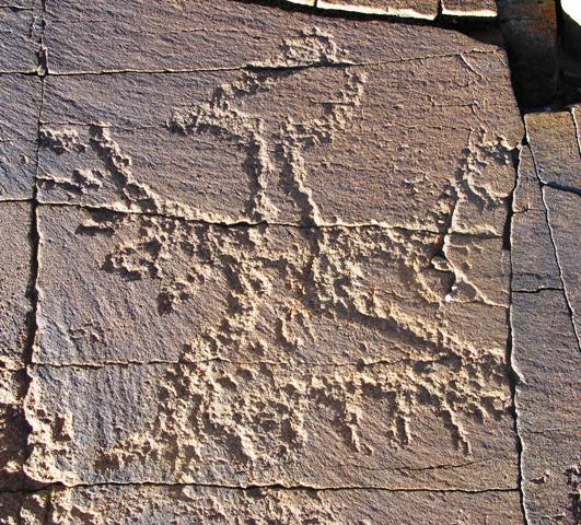 Fig. 5. Far western Tibet. Here we have a khyung with prominent tail and wing feathers. This motif consists of a row of parallel lines, which is reminiscent of the depiction of the belly hair on wild yaks in Upper Tibetan rock art. Iron Age or protohistoric period.  