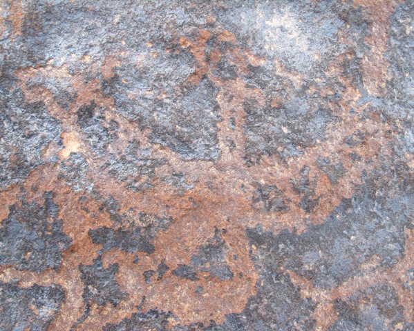 Fig. 7. Western Changthang. This khyung is found at the same site as the example in figure 2 and likewise appears to date to the Iron Age. It is found amid many other animals carved on a large boulder. Like the horned bird itself, most of these figures are obscured by extreme wear.  