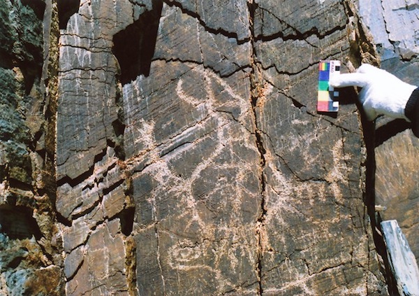 Fig. 8. Far western Tibet. This large khyung was produced employing bold but shallow carved lines. Its beak points upwards as if the bird is shown ascending. It the middle of its round body is a swastika-like design. The prominent tail and wing feathers are congruent with those of raptors. Below the raptor a wild ungulate is depicted. This carving appears to date to the protohistoric period.     