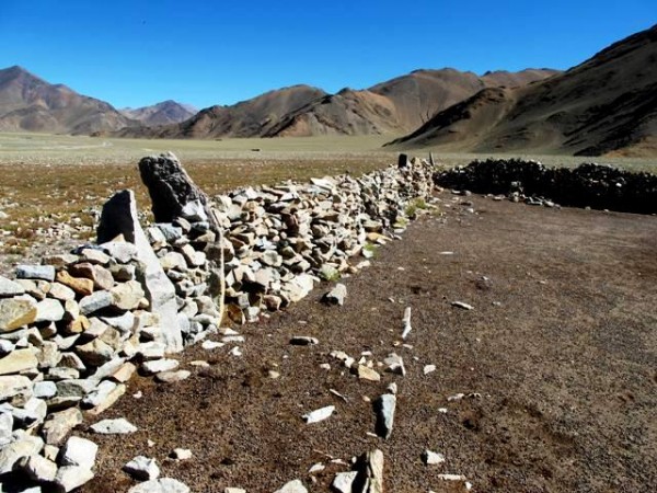 Fig. 6. What I did not appreciate in 1999 is that inside the corral there are slabs of stone embedded in the ground, which run parallel to the line of pillars. These stones may have formed the west wall of an enclosure in which the pillars were erected. If this assessment is correct, this site is one of the most common types of funerary ritual monuments in Upper Tibet: walled-in pillars. The wide spacing of the pillars may suggest that originally there was more than one enclosure. In any event, it is not unusual to see stones from ancient monuments recycled for use in pastoral structures.