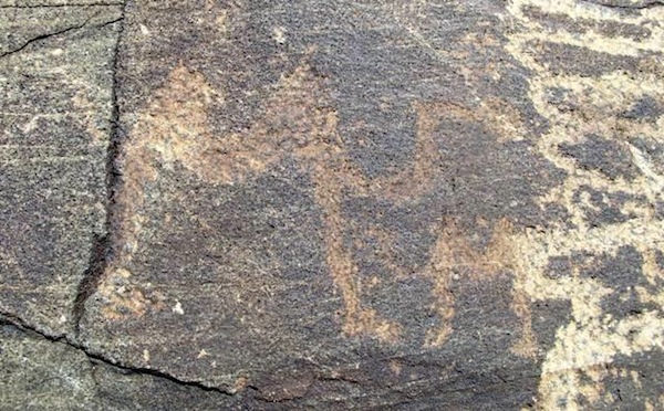 Fig. 4. A close-up of two Bactrian camels carved to the left of the chorten spire.