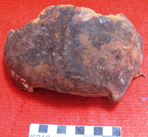 Fig. 10. A fragment of a human cranium. The monks assiduously collected the bones from the Gurgyam burial and have stored them well. It would be extremely valuable if these remains were to undergo osteological analyses. This is but one kind of scientific study required if we are to maximize our knowledge about the burial. Thanks to the care taken by the Gurgyam monks, further research is now feasible. Other tombs in the region have been opened without proper oversight and the contents discarded save for what may have market or esthetic value.