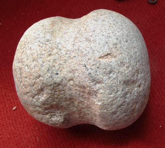 Fig. 12. A carved bi-hemispherical white igneous stone. The Gurgyam monks and I concur that this is a weight used on the end of a Tibetan beam scale. Identical stones (of various sizes) were used as weights right up to the modern period. The discovery of this Khardong example suggests that at least part of the traditional system of weights and measures in pre-modern Tibet was of pre-Buddhist antiquity. This stone, provided it dates to the time of the citadel, indicates that uniform standards had been adopted in parts of the Plateau very early on. Any such standardization of weights and measures would have facilitated trade and economic development. Wide, even interregional, trading networks may be implicated in this discovery. This scenario is supported by the discovery of cane and silk in the Gurgyam burial, commodities that in their raw forms came from outside the borders of Upper Tibet. To better understand the significance of the Khardong weight will require further research and exploration. 