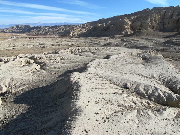 Fig. 1. A view of some of the defunct agricultural terraces at Regiment Valley.