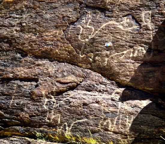 Fig. 11. The largest yak rock art documented to date in Upper Tibet.