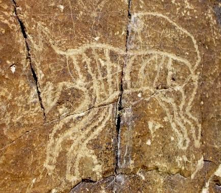 Fig. 2. The other tiger carving on the same panel as figure 1, protohistoric period. Its pointed ears, long, curling tail, gaping jaws, stripes and long tail need no comment. The two tigers of the panel are gracile in form. Perhaps the tigers of western Tibet were considerably smaller than average-sized Caspian tigers, which lived in more conducive physical environments. It is worth proposing that these ‘Tibetan’ tigers may have belonged to a genetically distinctive subspecies, but this is pure speculation.