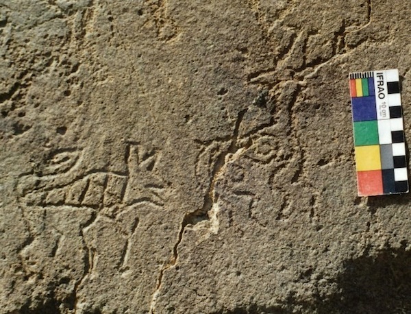 Fig. 4. A tiger chasing what appears to be a deer with forked antlers, Iron Age or early protohistoric period. The deer is looking behind it as the tiger is about to pounce. Again, we see the tiger as part of the region’s predator-prey cycle, seemingly strong evidence for its existence in western Tibet. For this image, also see my book Zhang Zhung (p. 169, fig. 296).