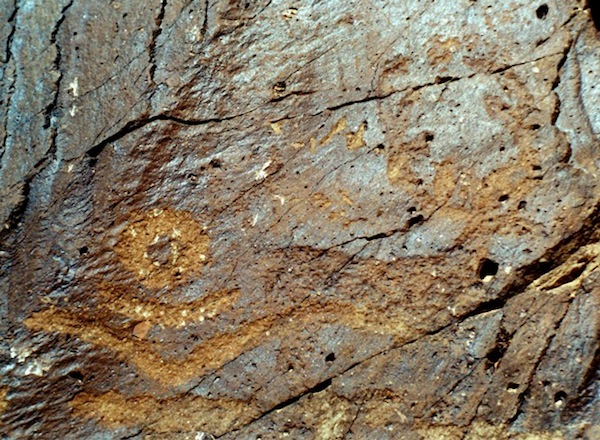 Fig. 2. The vowel sign of an Om syllable in the mani mantra partially engraved over the body of a stag, central Changthang.