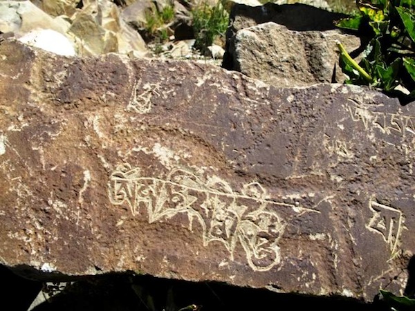 Fig. 3. A wild yak upon which the six-syllable mani mantra was carved, western Changthang.