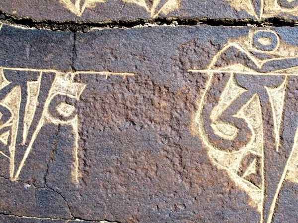 Fig. 9. Probable wild yak hemmed in by Tibetan letters, western Changthang. This is another egregious example of the ancient being infringed upon by the more modern, probably carried out for ideological reasons.