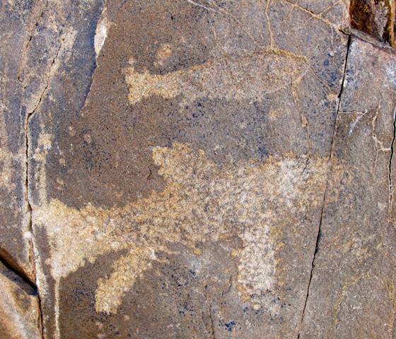 Fig. 10. Two carved fish, Iron Age or protohistoric period, northwestern Tibet. 