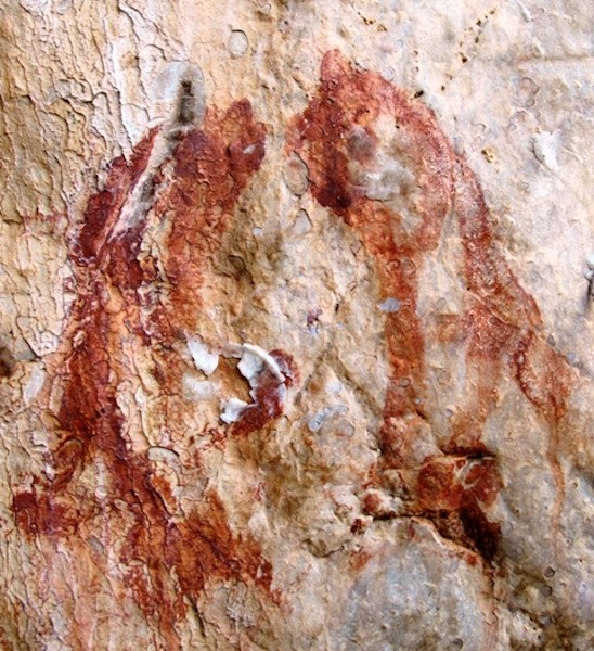 Fig. 7. A pair of fish painted in a cave, one of the eight auspicious symbols of Yungdrung Bon and Buddhism, probably vestigial period 1000–1300 CE), eastern Changthang.