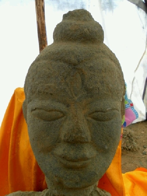 Fig. 5. A close-up of the head of the Khardong sculpture. Photo courtesy of Karma Gyaltsen.