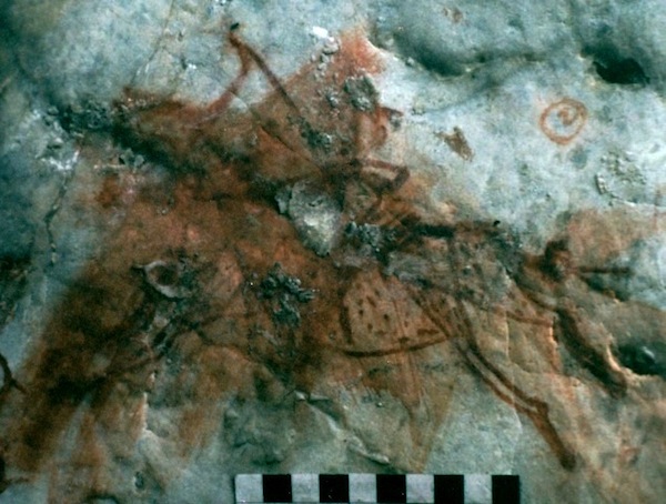 Fig. 7. A mounted archer letting loose an arrow, early historic period (650–1000 CE). The top half of the recurve bow is unmistakable. Unfortunately, this pictograph has been damaged by smudging and the application of butter. This effacement may have been perpetrated by Tibetan Buddhists whose moral sensibilities were offended by the militaristic aspect of the composition. There is considerable evidence for this kind of action in Upper Tibetan rock art (see November 2012 newsletter). The more detailed but stiffer rendering of the spotted horse and anthropomorph are characteristic stylistic features of historic epoch rock art. With the dawn of the historic epoch, the production of rock art dwindled in Upper Tibet and what was still made included many Buddhist-inspired motifs.