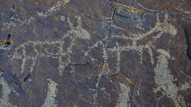 Fig. 13. What appears to be two wild asses (rkyang) depicted above the long line of hikers (each is approximately 15 cm long).