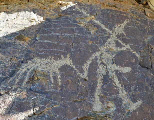 Fig. 17. At the top of the panel above the petroglyphs illustrated in Fig. 15, a figure with a beak-like nose leads a horse (anthropomorph 25 cm tall).
