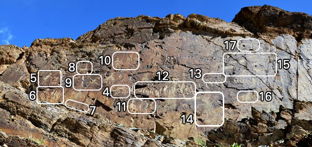 Fig. 3. The main rock art panel at Thakhampa Ri (6.3 m x 2.1 m). Sonam Wangdu (1994: 84) gives the dimensions of this panel as 6.2 m x 2.9 m, as he includes the lowermost uncarved portion. The eastern ¼ of the main panel is not shown. It extends beyond the right side of the photograph. The locations of rock art selected for individual depiction in this work are designated.