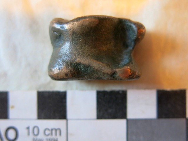 Fig. 1. Copper alloy astragalus (dorsal side) obtained in Tibet in the 1980s or early 1990s, Shang Nyima collection. Mr. Shang Nyima, an expert on Tibetan antiques, highly values this artifact as an authentic example of a native Tibetan object. His sentiments are influenced by the role sheep astragali have traditionally played in the life of Tibetan children.