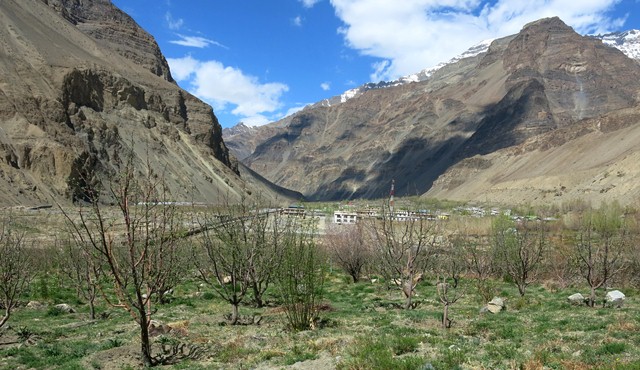 Fig. 1. The village of Tabo with an apple orchard in the foreground