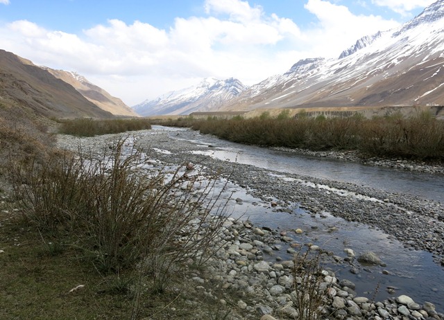 Fig. 2. A braid of the Spiti river upstream of Kaza