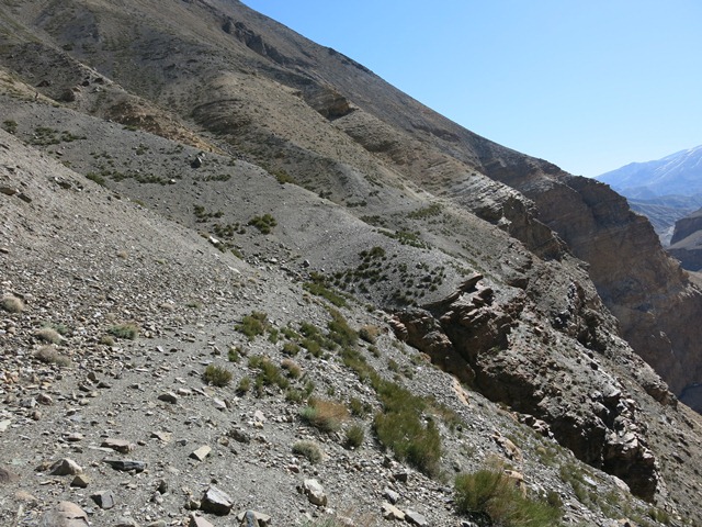 Fig. 9. The old bridle trail between Hurling and Gyu; situated as much as 300 m above the main road in the Spiti valley, this route is hardly used any more.