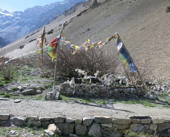 Fig. 10. The tamarisk shrine in the Gyu valley.