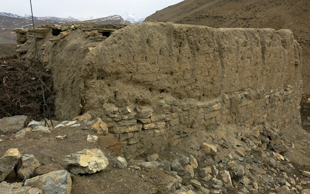 Fig. 12. The west (right) and north (left) walls of the old house of the jowa, Tashigang. Note the highly eroded upper courses of mud bricks. The stonework on this side of the building is not as extensive as on the east face. The wooden rafters of the roof can be seen protruding from the north wall of the structure.
