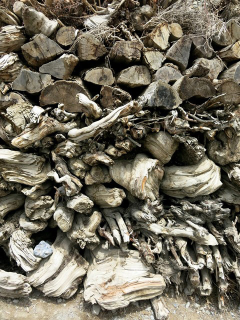 Fig. 13. Juniper firewood piled up high in Lhalung village.