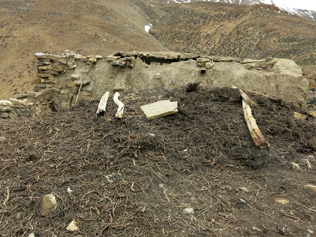 Fig. 13. The north side of the old house of the jowa, Tashigang.