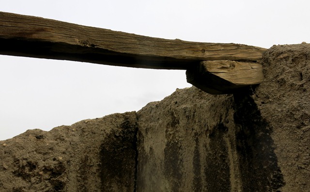 Fig. 15. A rafter and supporting bracket made of juniper in the old house of the jowa, Tashigang.