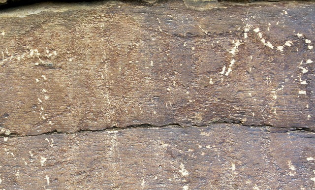 Fig. 6. The stripes and what appears to be a sinuous tail suggest that this petroglyph depicts a tiger (40 cm long), Sumdo 2. However, it is so worn that very few details of the animal remain intact. Iron Age. The head of this tiger (facing left seems to have almost a teardrop shape, somewhat corresponding with the form of the tiger’s head in fig. 1.