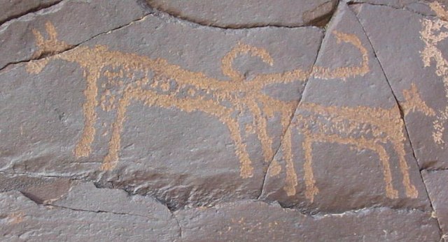 Fig, 10. Pair of felines, Sumda Rikpa Bao, Ladakh. Protohistoric period. Image courtesy of Martin Vernier.