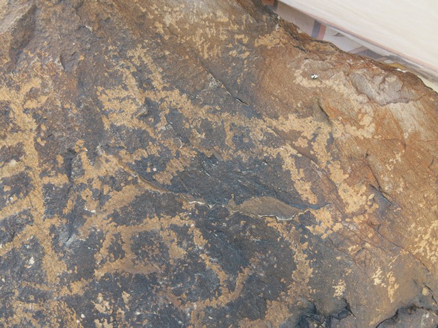 Fig. 11. A tiger carving among many other figures on a boulder, Tabo (el. 3285 m). Early Historic period.