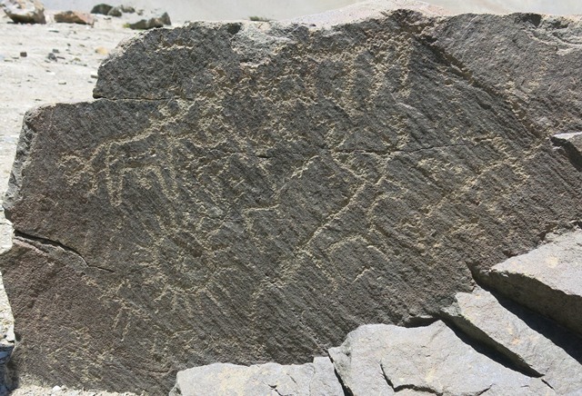 Fig. 12. Sun, swastika, cervid and other wild ungulates taken in direct sunshine, Drakdo Kiri. Protohistoric or Early Historic period. For this rock art also see Chauhan et al. 2014, p. 27.