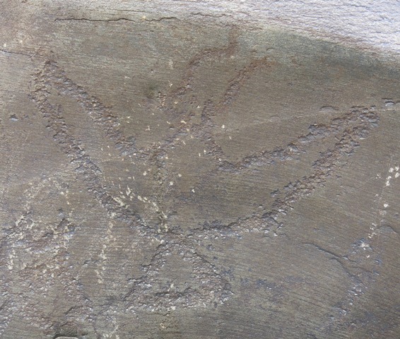 Fig. 14. A majestic khyung rock carving with fully spread wings, longs horns, pointed beak and triangular tail (24 cm high, 27 cm wing span), Sumdo 2. Note the double-curving left horn, a style of depiction also found in the wild yak rock art of Upper Tibet and Ladakh. Iron Age.