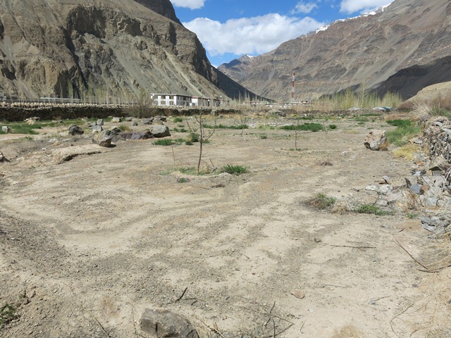 Fig. 17. An area with much rock art destroyed to make way for an apple orchard, Tabo.